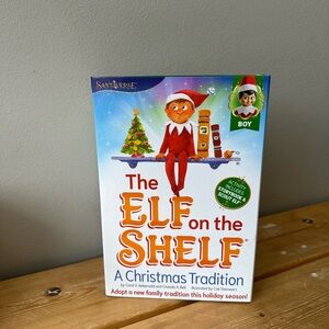 Boy Elf on the Shelf